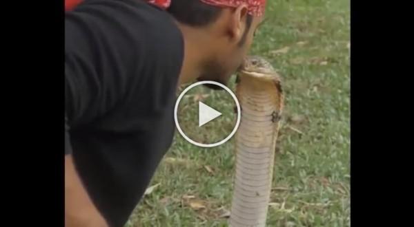 Ai e puthi gjarpërin, por shikoni se çfarë i ndodhi më pas (Video)