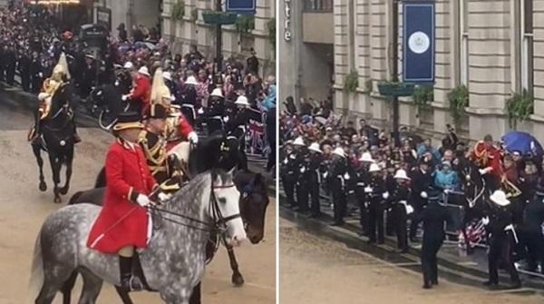 Kali i ‘padisiplinuar’ përplaset me turmën e njerëzve gjatë procesionit të Mbretit Charles III-të