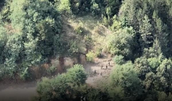 A tregon kjo video se Policia qellimisht ka lënë një pjesë të terroristeve të largohen në territorin e Serbisë?! (Video)