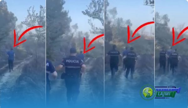 Momenti kur policia kap autorin që vuri zjarrin dhe dogji sipërfaqe të mëdha me ullinj (Video)