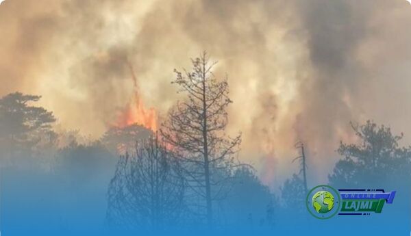 Del jashtë kontrollit zjarri në Maliq, kërkohet ndihmë nga ajri