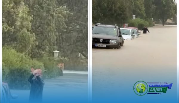 Vërshime të jashtëzakonshme në Austri, kosovari u del në ndihmë banorëve të Vjenës (VIdeo)